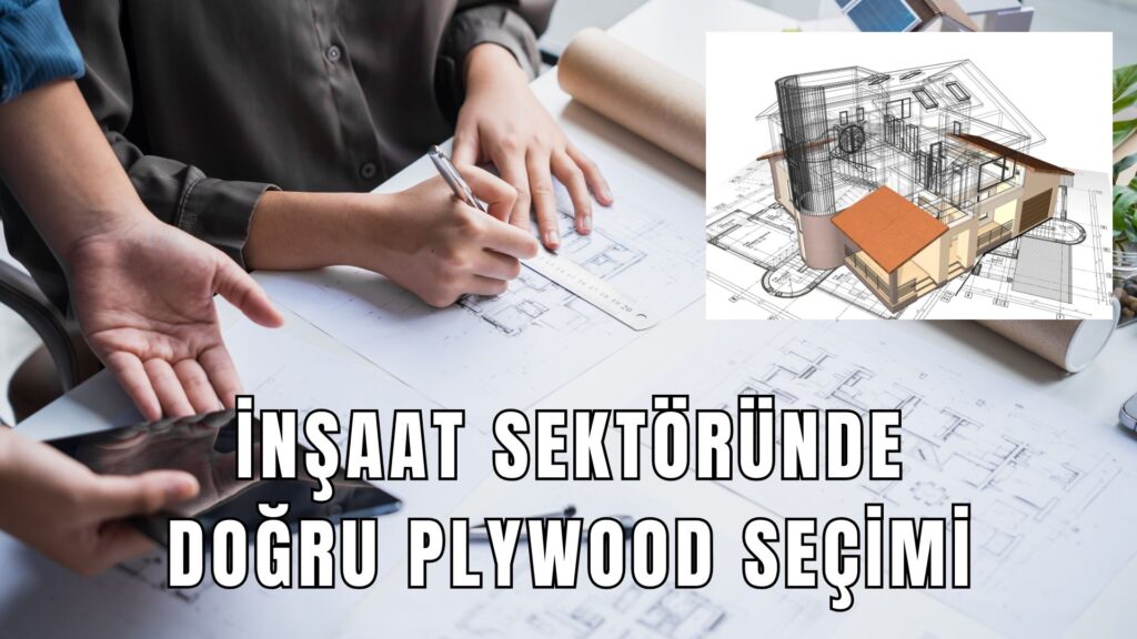 İnşaat ve Mobilya Sektörü İçin Doğru Plywood Nasıl Seçilir?